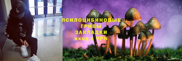 mdpv Богданович