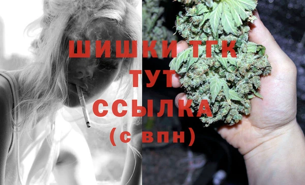 mdpv Богданович