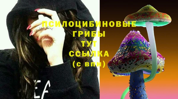mdpv Богданович