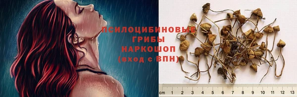 mix Богородицк