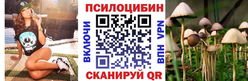 Купить  Алексин  Псилоцибиновые грибы мухоморы 